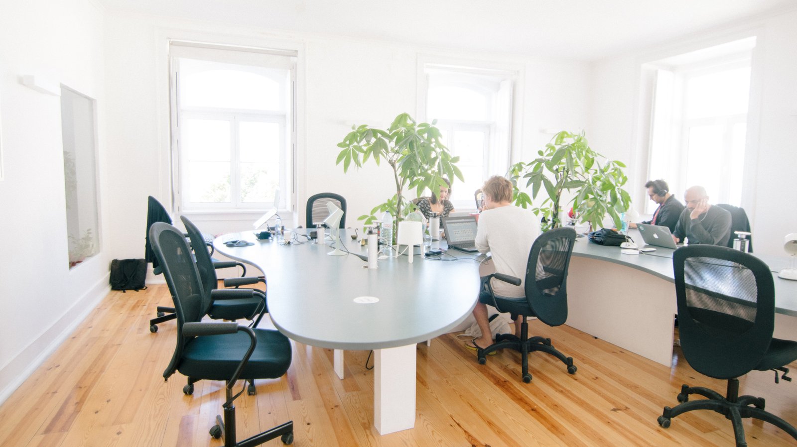 The VisoFlow team's workspace: a bright office with a curved desk, plants and daylight